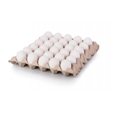 CHICKEN EGG FARM / KAMPUNG 30PCS X TRAY